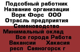 Подсобный работник › Название организации ­ Ворк Форс, ООО › Отрасль предприятия ­ Семеноводство › Минимальный оклад ­ 30 000 - Все города Работа » Вакансии   . Хакасия респ.,Саяногорск г.